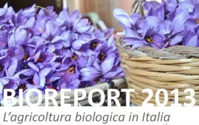 Bioreport 2013