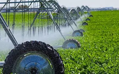 Esportazione di prodotti agroalimentari: certificati e liste ufficiali