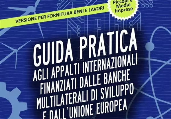 Guida pratica agli appalti internazionali