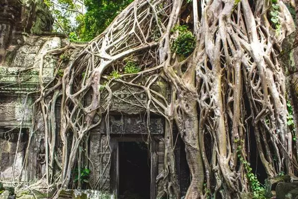 Investire in Cambogia