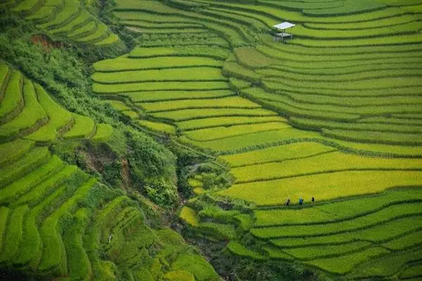 Ostacoli e virtù del modello economico vietnamita