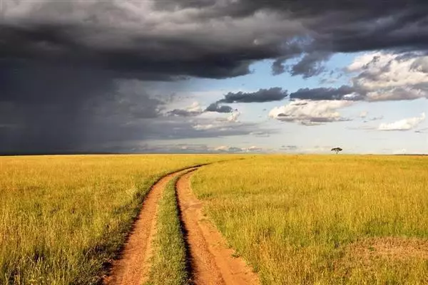 Kenya: Edilizia e immobiliare, due settori chiave dell’economia