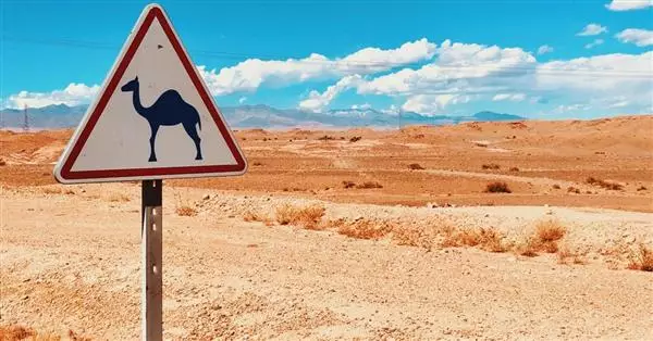 Coronavirus e trasporti internazionali: Marocco