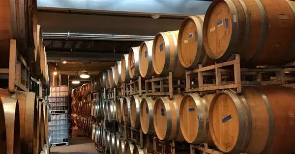 Indagine Mediobanca sulle società del settore vinicolo