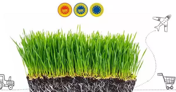Rapporto 2020 sulle produzioni agroalimentari e vitivinicole Dop, Igp e Stg