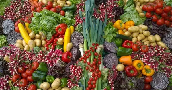 Food Industry Monitor 2021