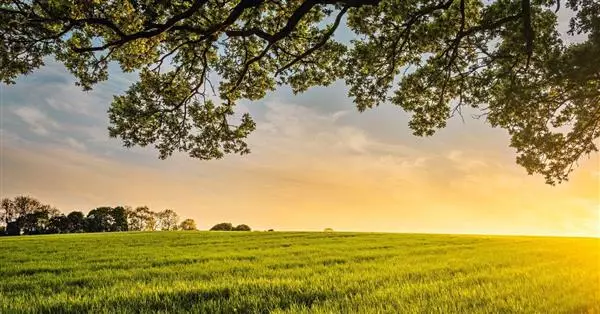 Monitor distretti Agro-alimentari luglio 2021