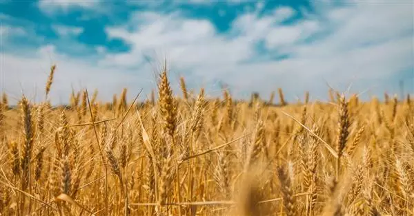 Crisi Ucraina e scambi agroalimentari