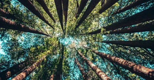 Bioeconomia in Italia nel 2021