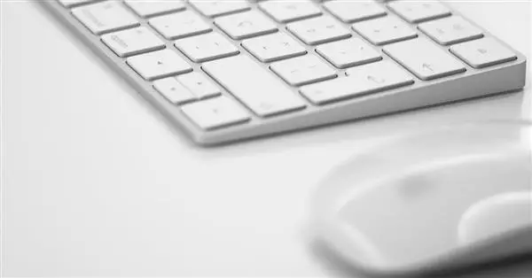 Digitalizzazione delle dichiarazioni doganali di importazione e prospetto di riepilogo ai fini contabili