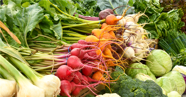 Cresce l’export dei prodotti agroalimentari biologici italiani