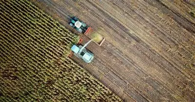 Supply chain e obblighi di due diligence: nuova proposta di direttiva in materia di sostenibilità