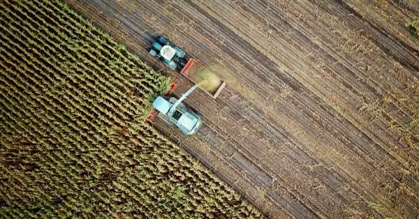 Supply chain e obblighi di due diligence: nuova proposta di direttiva in materia di sostenibilità