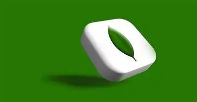 Unioncamere: digitale e green spingono la produttività delle imprese