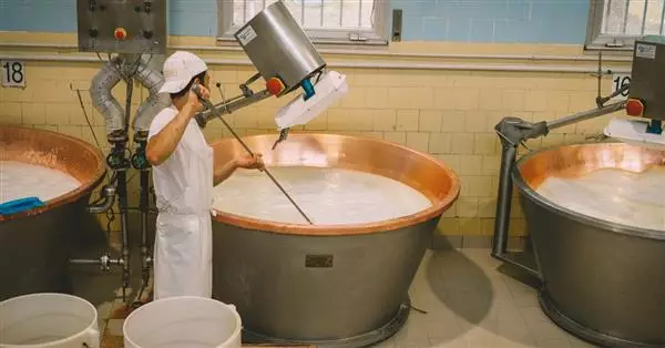 Classifica 10 migliori formaggi al mondo: 8 sono italiani