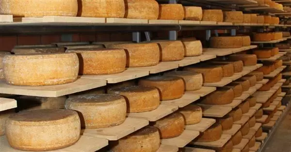 Ismea: export prodotti lattiero caseari