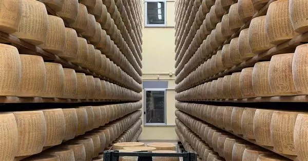 Focus SACE Alimentari e bevande
