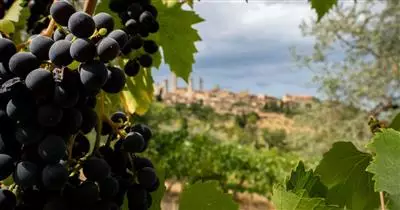 Export agroalimentare e dazi USA