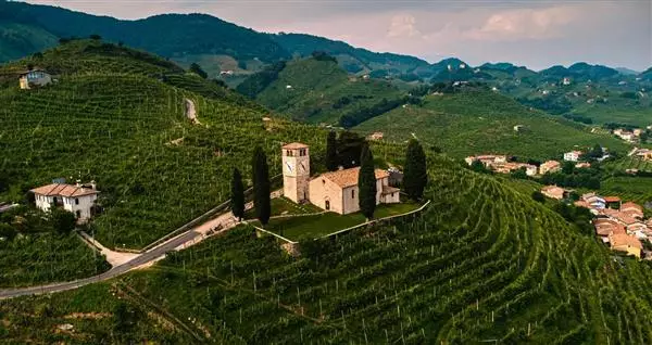SACE: export vino italiano nel 2025